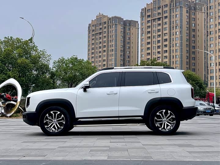 Фото 4 - Haval Dargo