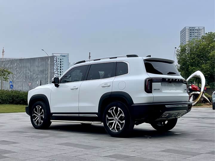 Фото 5 - Haval Dargo