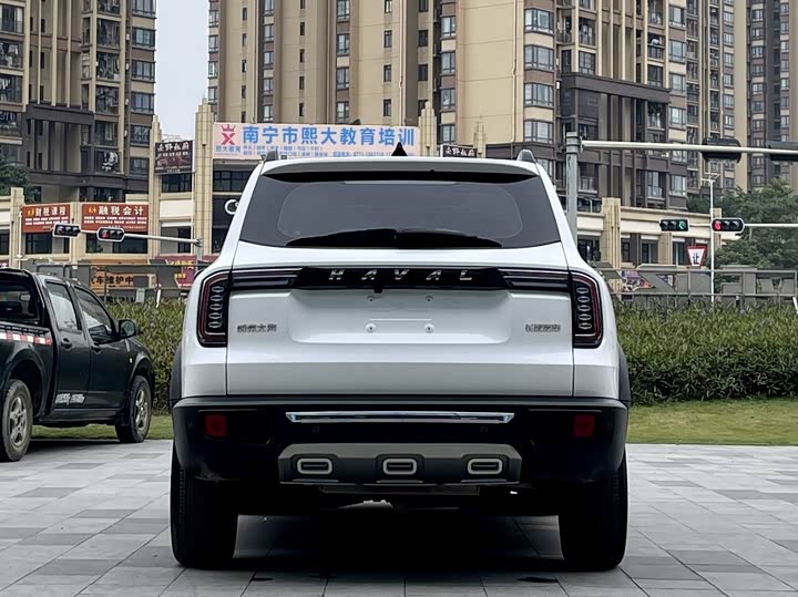 Фото 6 - Haval Dargo