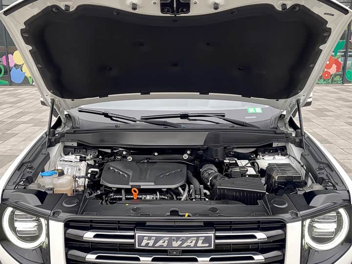 Фото 8 - Haval Dargo