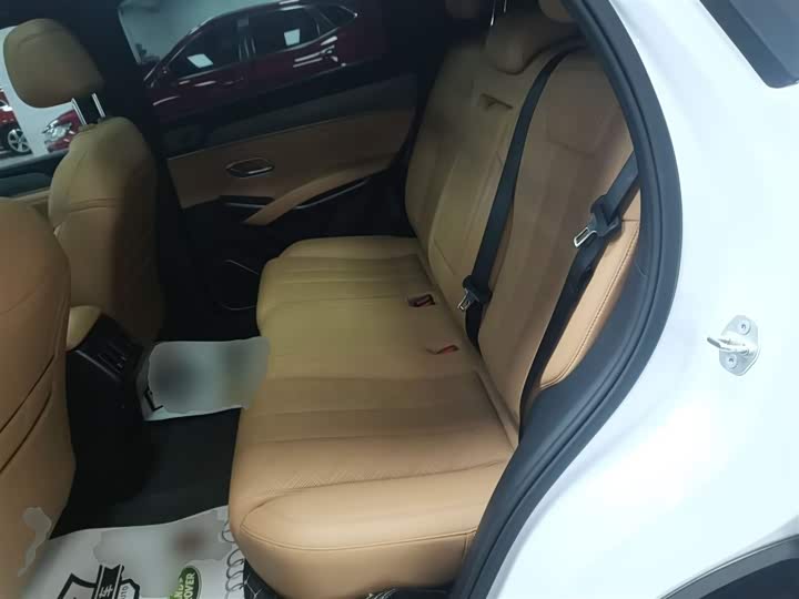 Фото 17 - BYD Song L DM-i Hybrid