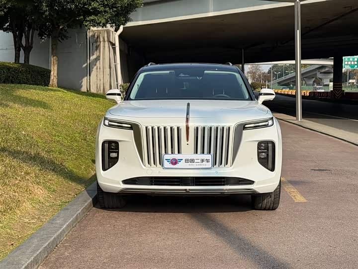 Фото 2 - Hongqi E-HS9