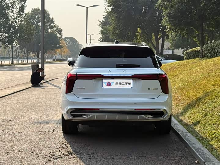 Фото 5 - Hongqi E-HS9