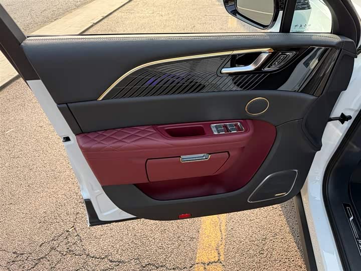 Фото 6 - Hongqi E-HS9