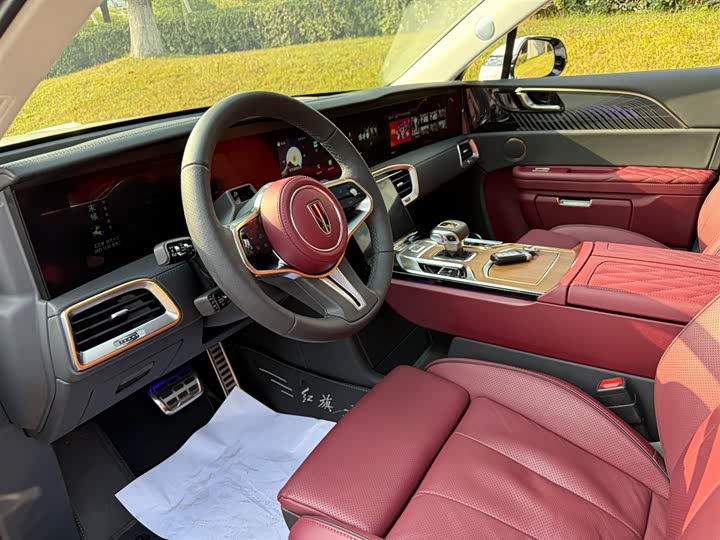 Фото 7 - Hongqi E-HS9