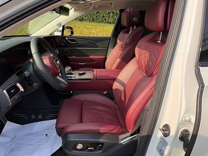 Фото 8 - Hongqi E-HS9