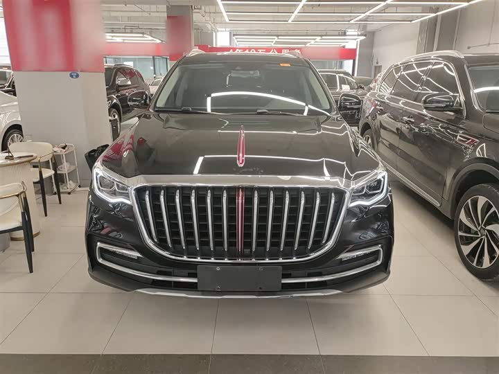 Фото 3 - Hongqi HS7