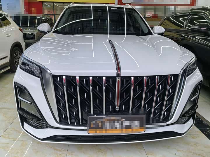 Фото 1 - Hongqi HS5