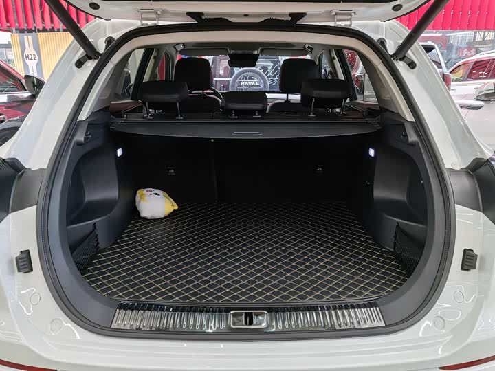 Фото 12 - Hongqi HS5