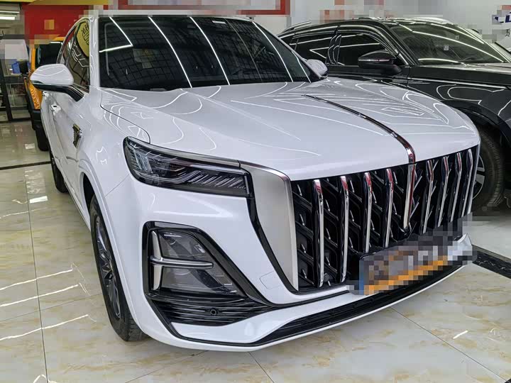 Фото 16 - Hongqi HS5