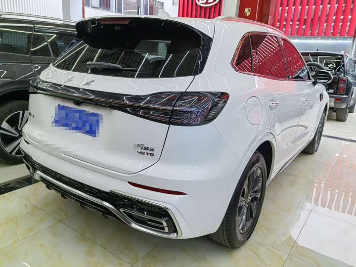 Фото 20 - Hongqi HS5
