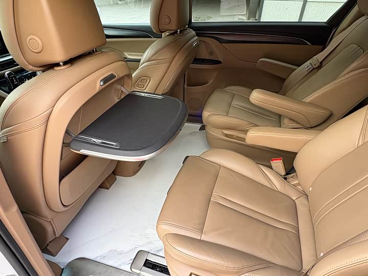 Фото 14 - Buick GL8 ES