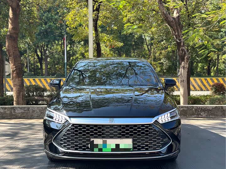 Фото 2 - BYD Qin Plus