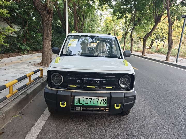 Фото 2 - Geely Galaxy Panda Mini