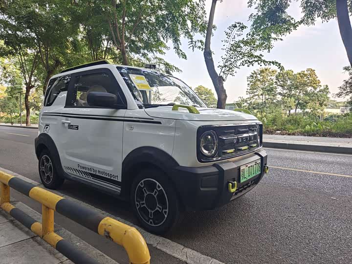 Фото 3 - Geely Galaxy Panda Mini