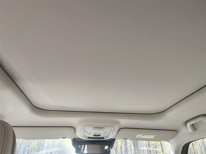 Фото 18 - Haval H-Dog Hybrid