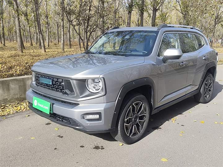 Фото 2 - Haval H-Dog Hybrid