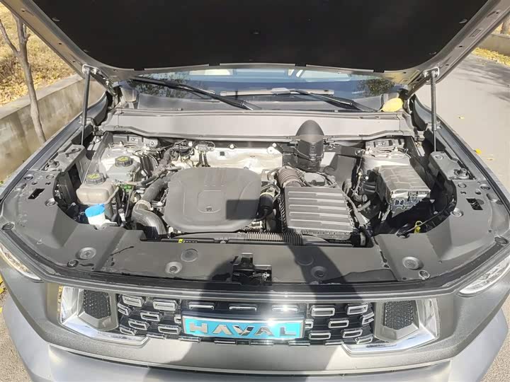 Фото 20 - Haval H-Dog Hybrid