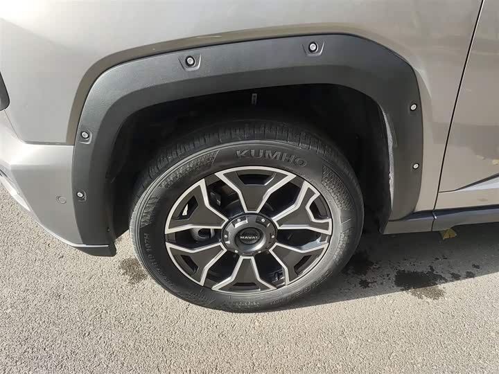 Фото 23 - Haval H-Dog Hybrid