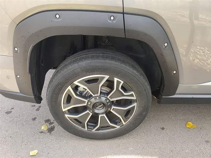 Фото 26 - Haval H-Dog Hybrid