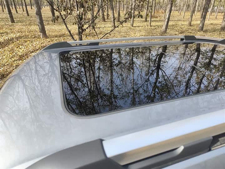 Фото 27 - Haval H-Dog Hybrid