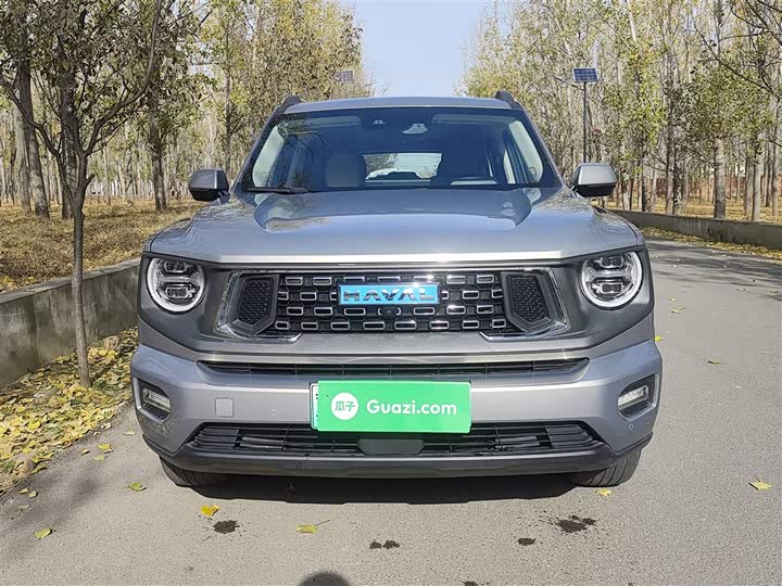 Фото 3 - Haval H-Dog Hybrid