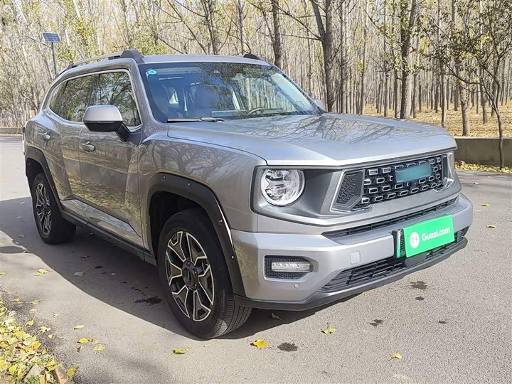 Фото 4 - Haval H-Dog Hybrid