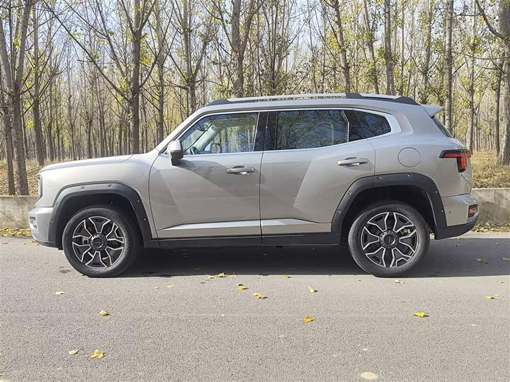 Фото 5 - Haval H-Dog Hybrid