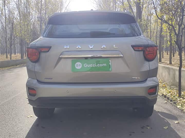 Фото 6 - Haval H-Dog Hybrid