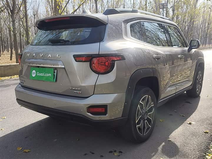 Фото 7 - Haval H-Dog Hybrid