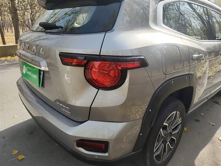 Фото 8 - Haval H-Dog Hybrid