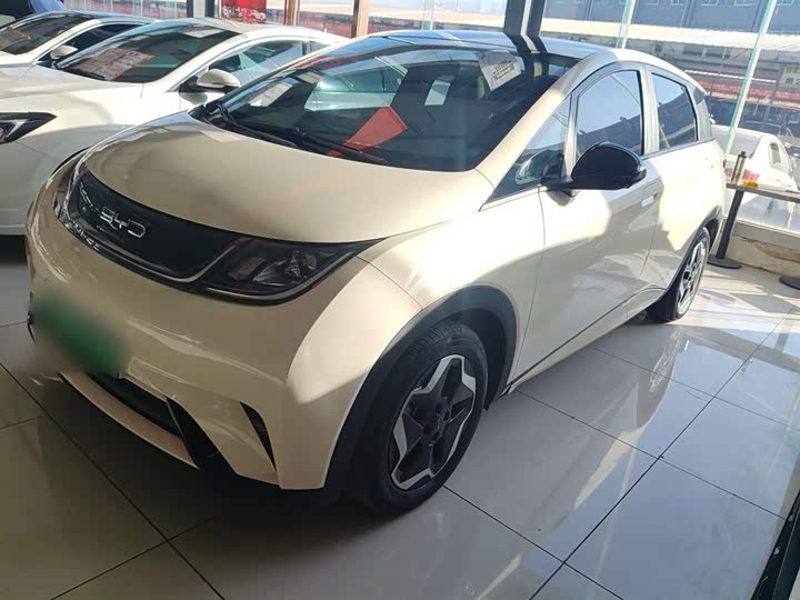 Фото 1 - BYD Dolphin