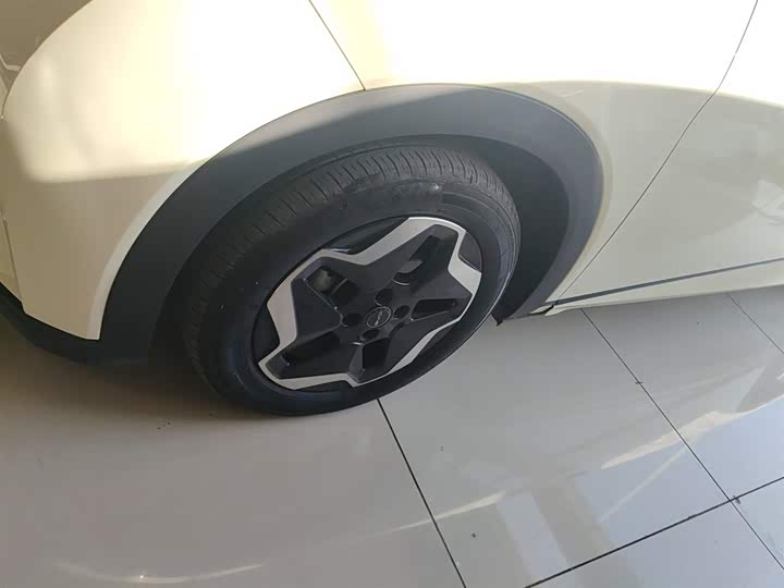 Фото 23 - BYD Dolphin