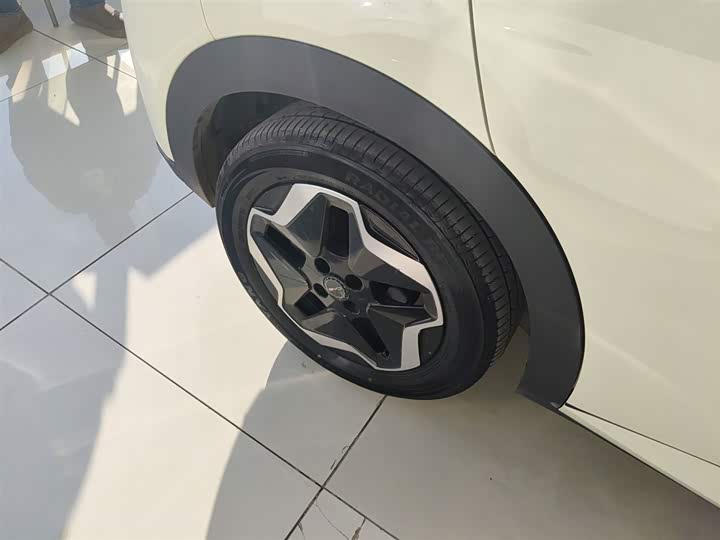 Фото 26 - BYD Dolphin