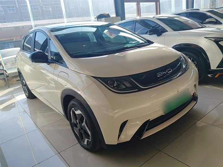 Фото 4 - BYD Dolphin