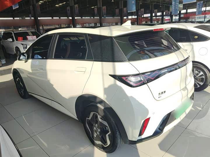 Фото 5 - BYD Dolphin