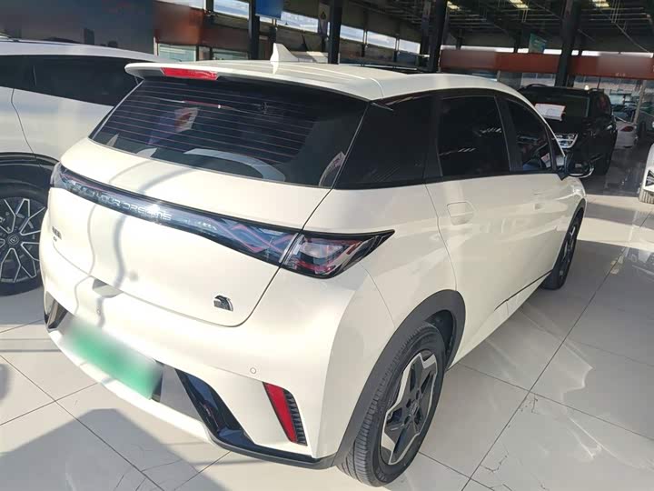 Фото 7 - BYD Dolphin