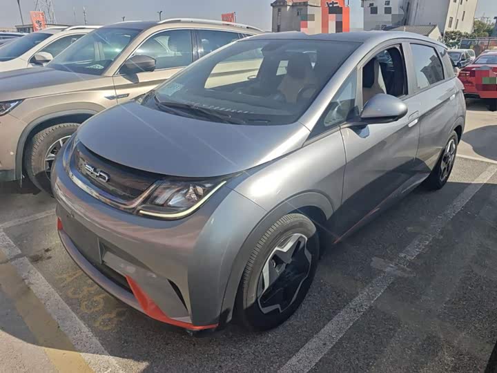 Фото 1 - BYD Dolphin