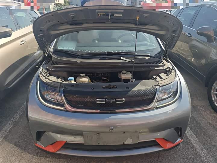 Фото 19 - BYD Dolphin