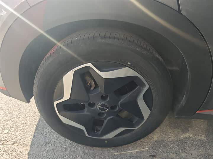 Фото 25 - BYD Dolphin