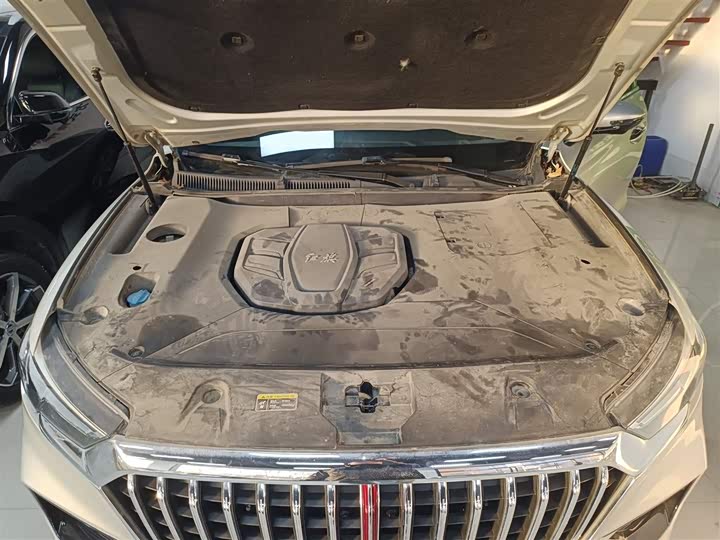 Фото 20 - Hongqi HS5