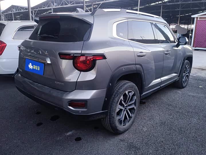 Фото 3 - Haval H-Dog