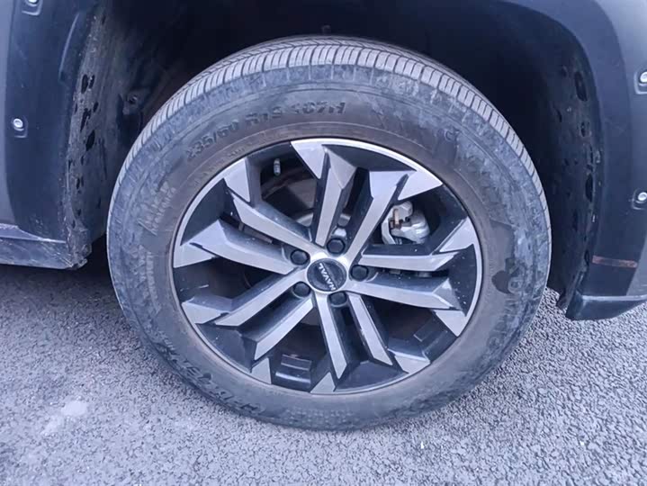 Фото 6 - Haval H-Dog