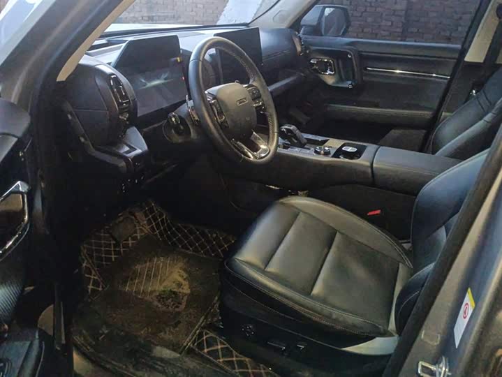 Фото 9 - Haval H-Dog