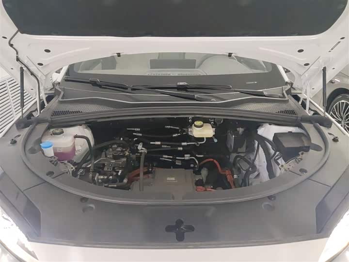 Фото 20 - BYD Song Plus Hybrid/EV