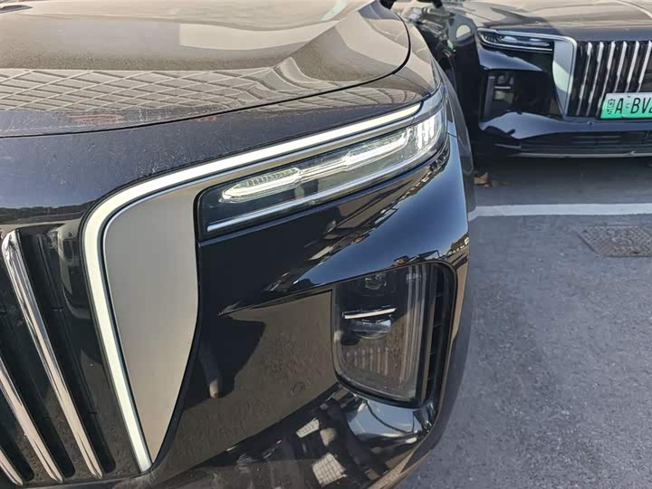 Фото 24 - Hongqi E-HS9