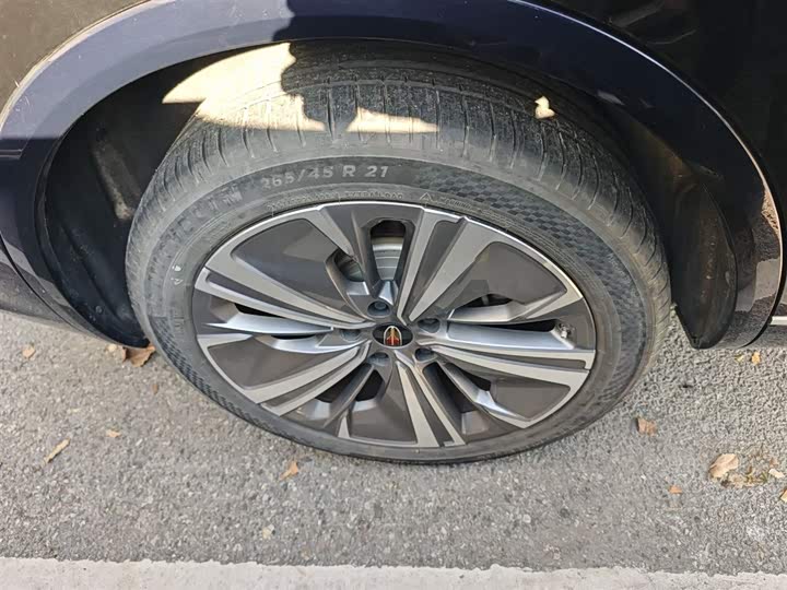 Фото 26 - Hongqi E-HS9