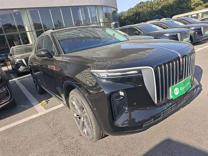 Фото 4 - Hongqi E-HS9