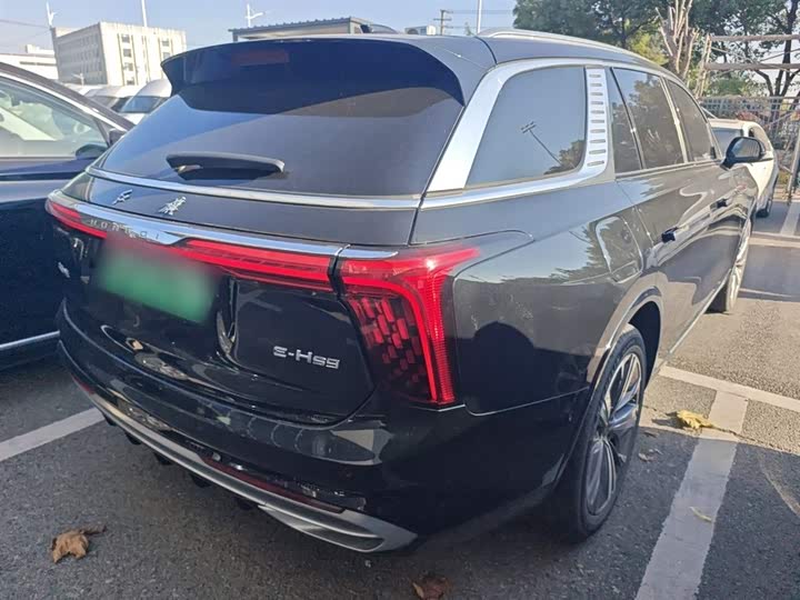 Фото 7 - Hongqi E-HS9