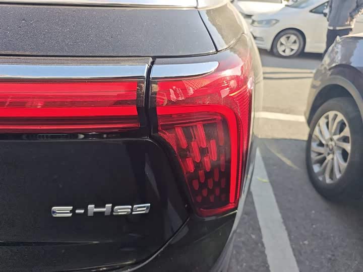 Фото 8 - Hongqi E-HS9